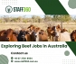 Exploring Beef Jobs in Australia