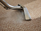 Refresh Your Floors with Expert Carpet Steaming Services