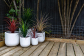 Keep It Green With Artificial Plants Brisbane Homes Love