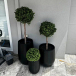 Position Artificial Topiary Trees to Experience Timeless Green Elegance