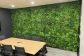 Elegant Artificial Green Walls in Sydney to Create Effortless Natural Charm Indoors
