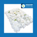 Create Clean Scenes With A White Artificial Flower Wall 
