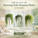 Uplift Your Decor with Stunning Fake Hanging Plants in Australia 