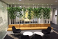Indoor Office Plant Melbourne – Stylish Greenery for Every Workspace