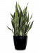 Premium Indoor Planters Melbourne for Homes & Offices