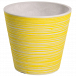Online Range of Plastic Pots That Complement Any Plant or Interior 