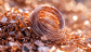 Get Better Value with Scrap Copper Prices in Melbourne
