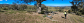Enhance Your Planning Accuracy with a Detailed Site Survey in Melbourne