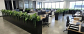 Add Depth From Above With an Artificial Hanging Garden 